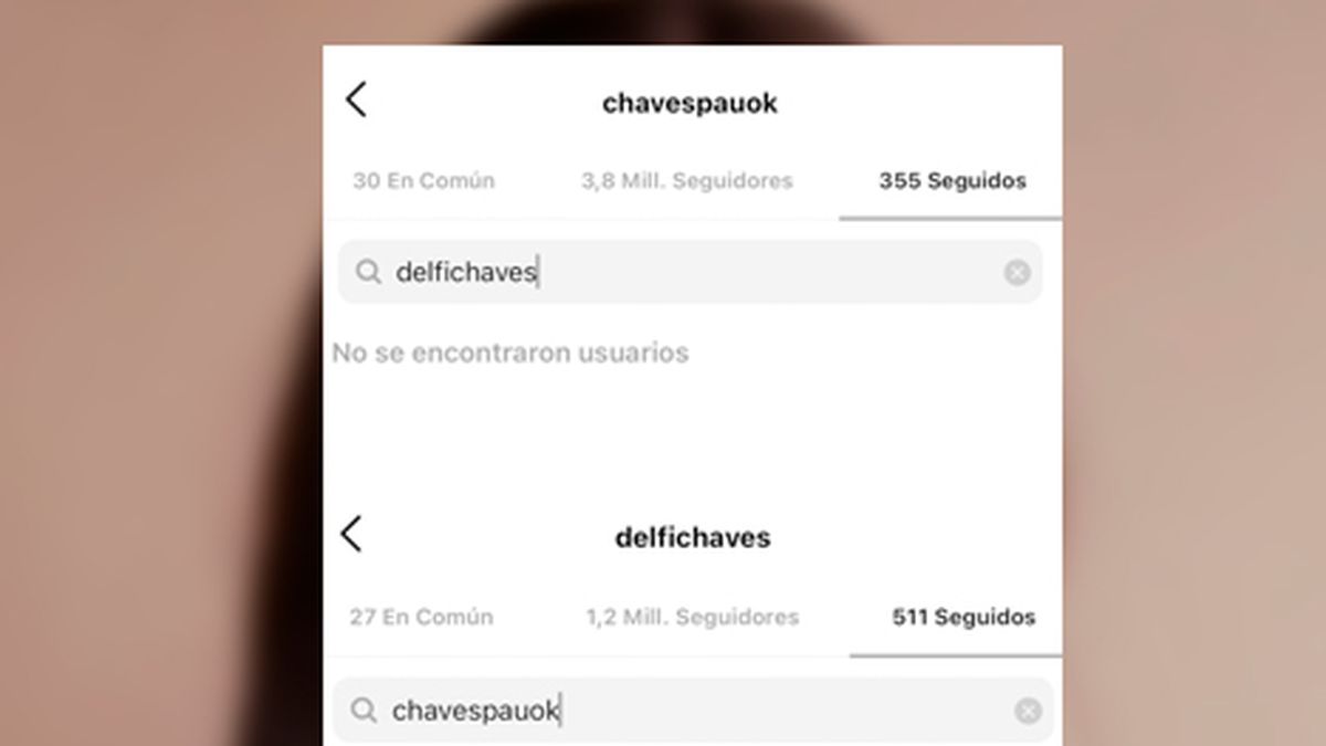 En las redes. ¿Paula Chaves y Delfina se dejaron de seguir en las redes?