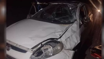 Robó un auto, se pegó un flor de palo y murió en el acto: Tenía tan solo 14 años