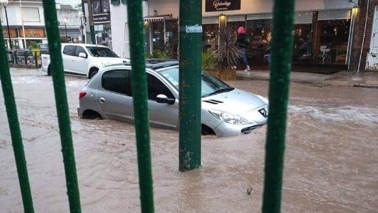 Alerta por temporal en la Costa Atlántica: calles anegadas, árboles caídos y cortes de luz