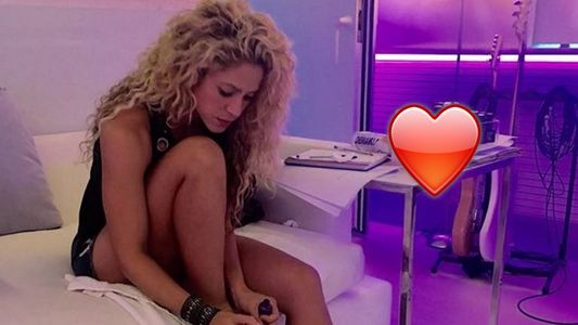 ¿Shakira se sacó una foto con un chiche sexual?