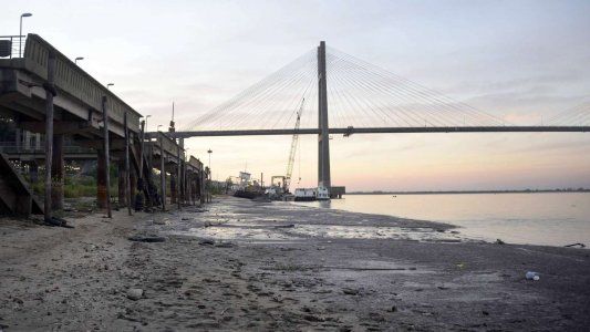 Bajante del Paraná: ¿El agro tiene responsabilidad sobre el fenómeno?