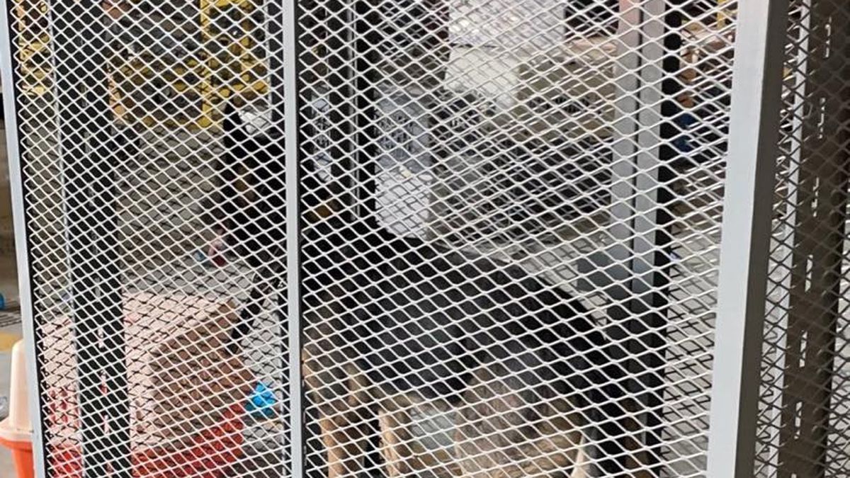 Estados Unidos teme de que los animales sean ejecutados por los talibanes