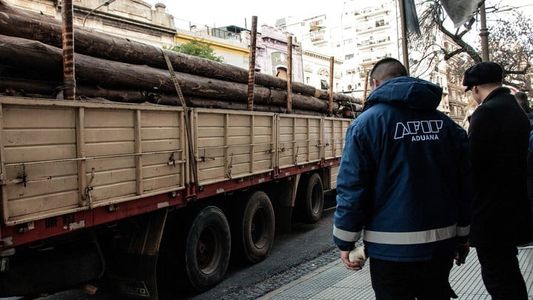Misiones: secuestraron 1.700 kilos de marihuana escondidos en un camión que transportaba madera