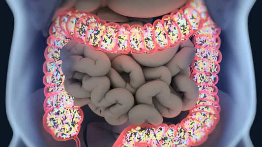 Cuida tu colon: la fruta repleta de antioxidantes que limpia el organismo y previene enfermedades