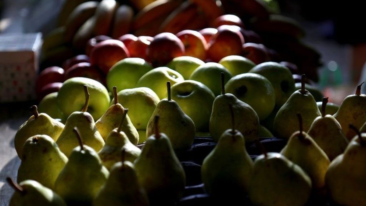 La alimentación y las producciones sustentables, algo que la sociedad reclamó a los productores agropecuarios. 