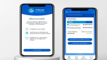 Cómo es la app que ayuda a emprendedores y monotributistas con la contabilidad