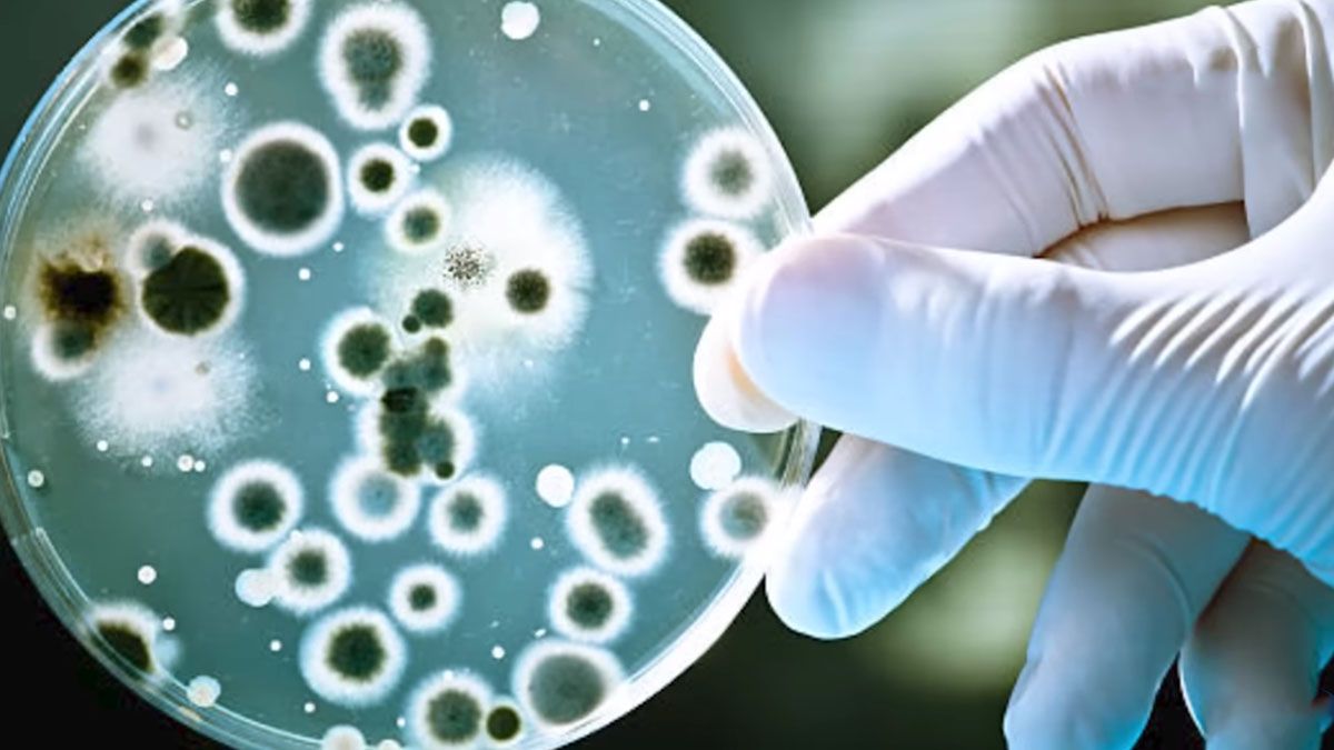 La ciencia preocupada por la resistencia antimicrobiana a los antibióticos.