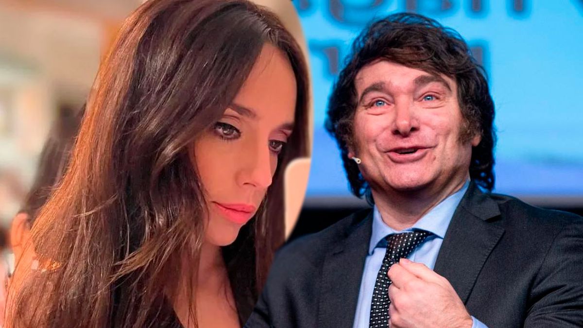 El día que Tamara Pettinato se le tiró a Javier Milei: Por el momento...