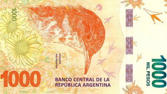 Cómo reconocer un billete falso: las recomendaciones de un perito calígrafo y lo que hay que mirar para no ser engañado