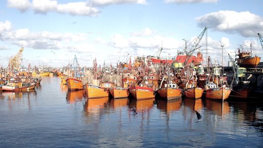 Ley ómnibus: gobernadores patagónicos rechazan cambios en la actividad pesquera