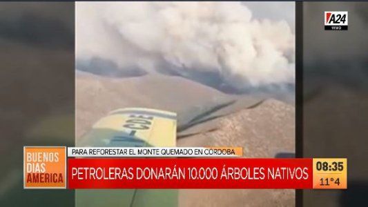 Petroleras donarán 10.000 árboles nativos para reforestar Córdoba