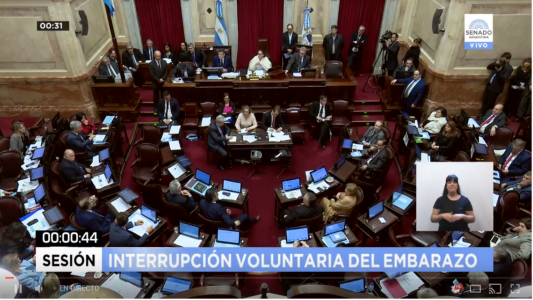 La senadora que votó en contra de la legalización del aborto deja la presidencia de la comisión de la mujer