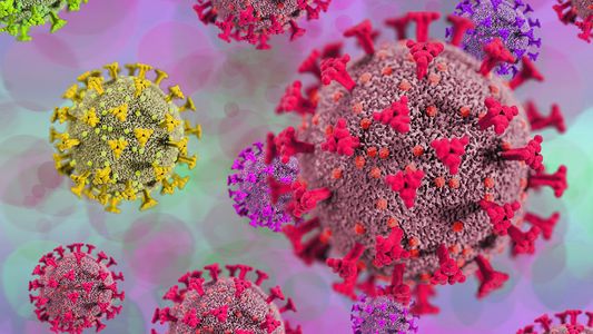 Las variantes de coronavirus que impulsan la nueva ola en Argentina: ¿cuáles son los síntomas para detectarlas?