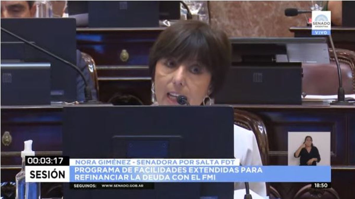 La senadora salteña del Frente de Todos Nora Giménez.