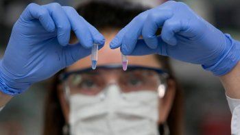Coronavirus: Y-TEC y NEOKIT se unen para producir un millón de tests rápidos por mes