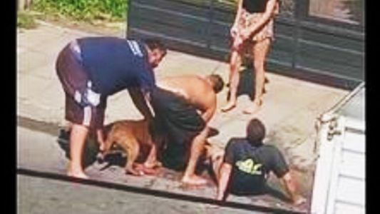 Hurlingham: un hombre fue atacado por un pitbull en la calle y sufrió heridas de gravedad