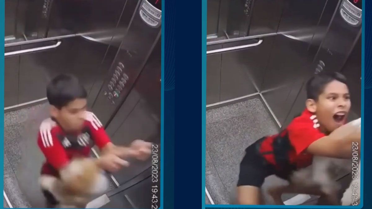 Thiago, el niño de 11 años que se arriesgó y salvó la vida de su perrita Milú. (Foto: Captura de TV)