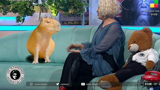 Mercedes Morán reveló su poder de telepatía con animales