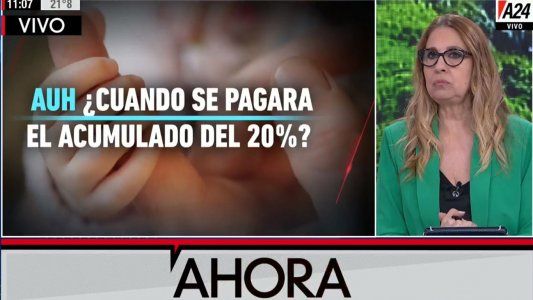 Asignación Universal por Hijo: ¿cómo y cuándo se pagará el plus acumulado del 20%?