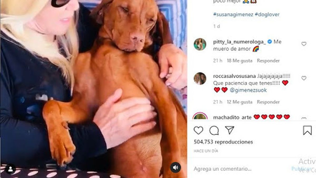 Susana Gim&eacute;nez, descansando con su perra Rita.