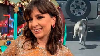 Resurgieron la cancelable actitud que tuvo Edith Hermida con su mascota