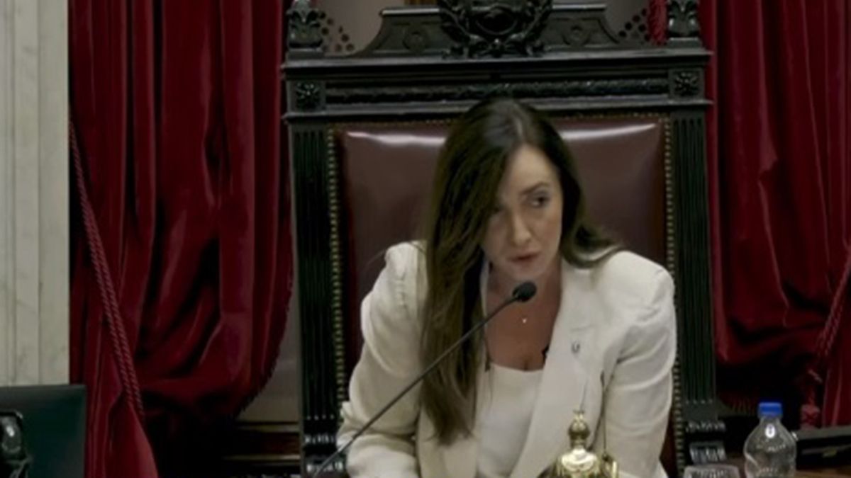 Victoria Villarruel Retiró El Busto De Néstor Kirchner Del Senado: No ...