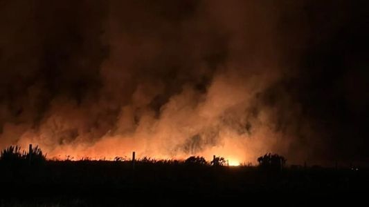 Incendio forestal en Mar del Plata: más de 200 hectáreas arrasadas y continúa el operativo