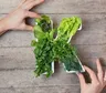 Vitamina K baja: cómo detectar a tiempo la deficiencia y qué hacer para corregirla