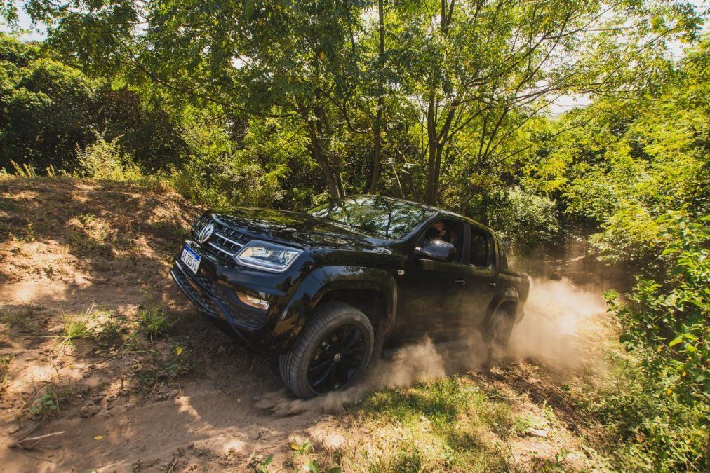 Amarok Experto