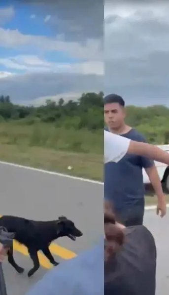 Agredieron al diputado Federico Pelli mientras entregaba ayuda a damnificados por las inundaciones en Tucumán