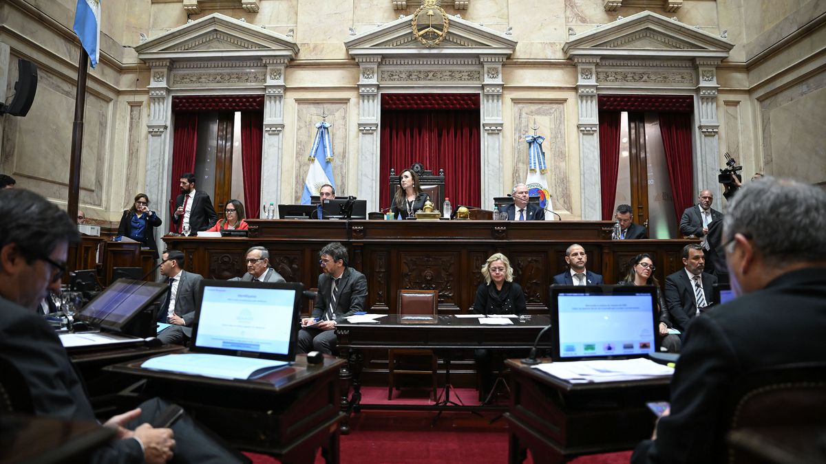 El Senado debate la reforma de la Ley de Salud Mental y un régimen de incentivos para grandes inversiones. (Foto: @SenadoArgentina).
