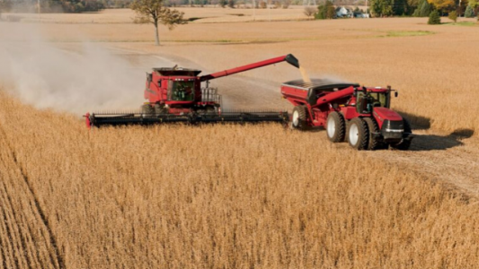 ¿Mercado de locos? Por qué el USDA emitió un informe bajista y los precios subieron