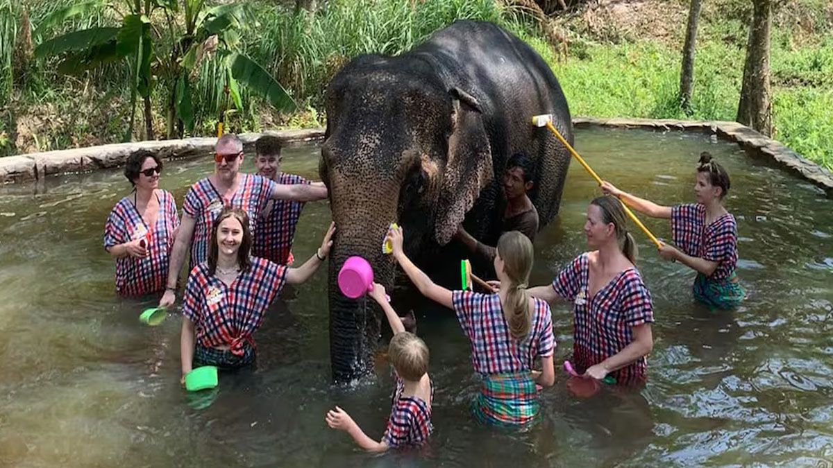 Bañar elefantes en una reserva de Tailandia. Un atractivo especial para los turistas de todo el mundo, pero también, muy peligroso. (foto: Gentileza Diario El País)