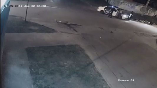 Mar del Plata: así policías agredieron a un cartonero en la calle