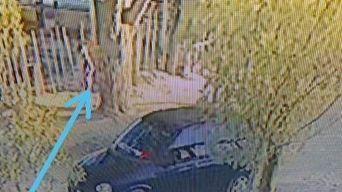 En las cámaras de seguridad se puede observar a Prieto obligando a la nena a subir a su vehículo