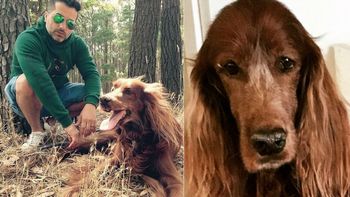 El dolor de Ángel de Brito por la muerte de su perro