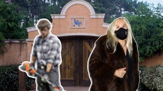 La grave acusación al jardinero de Susana Giménez: abuso sexual de una niña