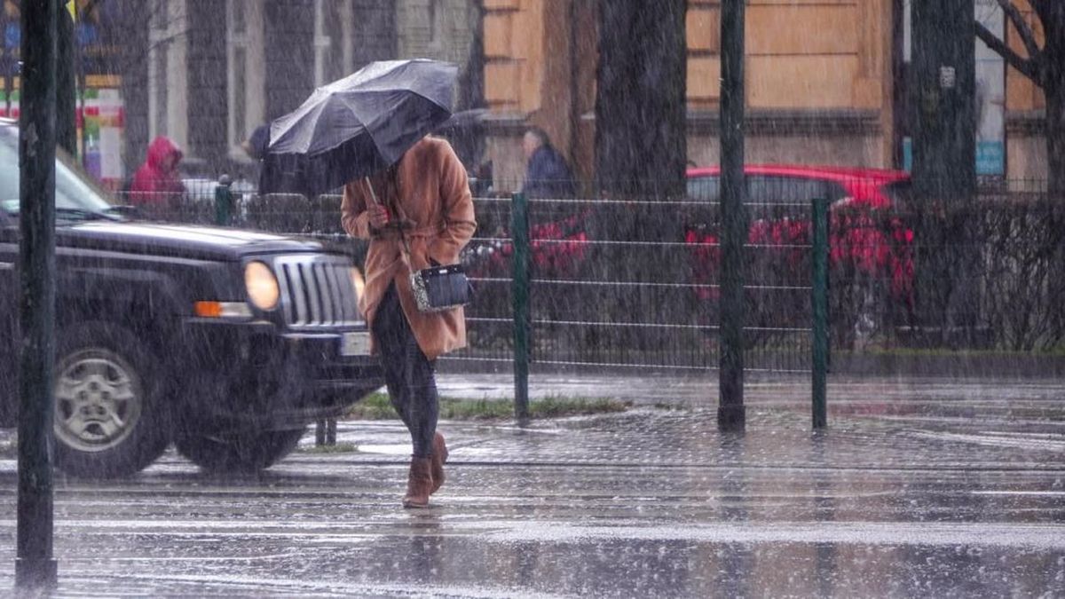 Alerta amarilla por lluvias y nevadas: qué provincias se verán afectadas. (Foto: archivo)