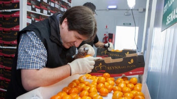 Carnes, frutas y hortalizas crecieron en exportaciones en el primer semestre