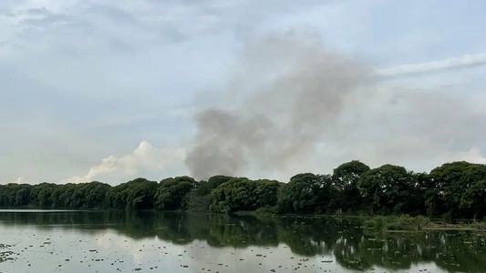 Incendio en la Reserva Ecológica Costanera Sur: bomberos lograron controlar el fuego