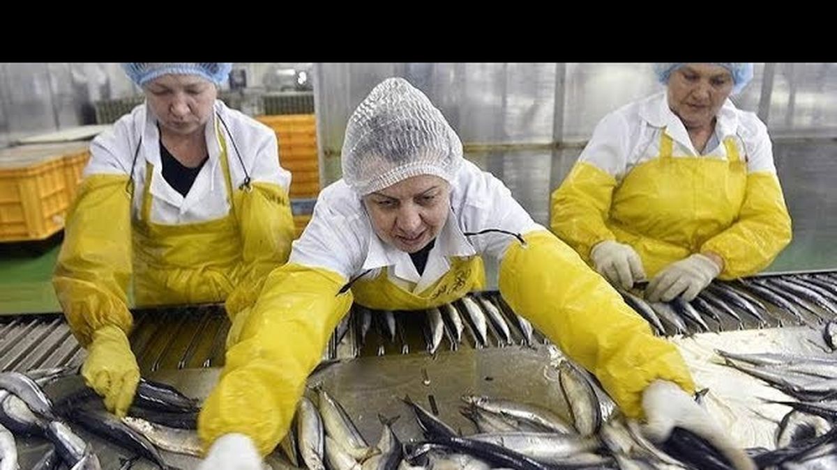 Un hombre fue encontrado muerto en un a planta de procesamiento de pescado