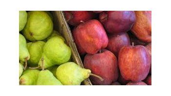 Productores frutícolas de Río Negro y Neuquén buscan otros mercados internacionales