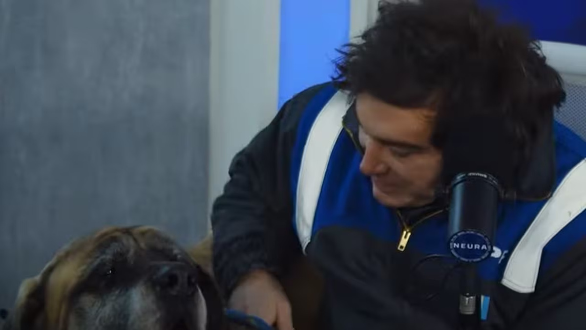 Milei y el nuevo monto de la jubilación mínima de ANSES