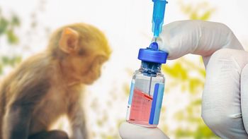 Reino Unido asegura que una vacuna danesa contra la viruela del mono ofrece una protección del 78% contra el virus