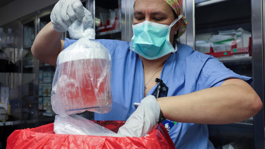 Murió el paciente que recibió el primer trasplante de riñón de cerdo modificado genéticamente