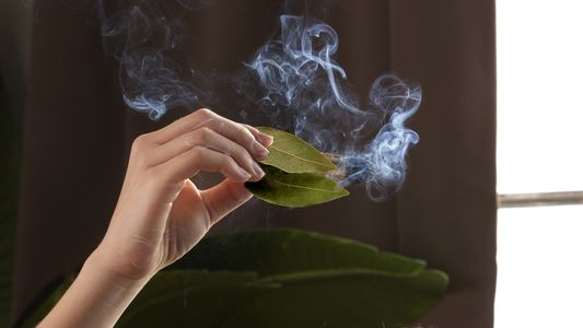 Limpieza energética y abundancia con el RITUAL DEL LAUREL: aprendé cómo hacerlo