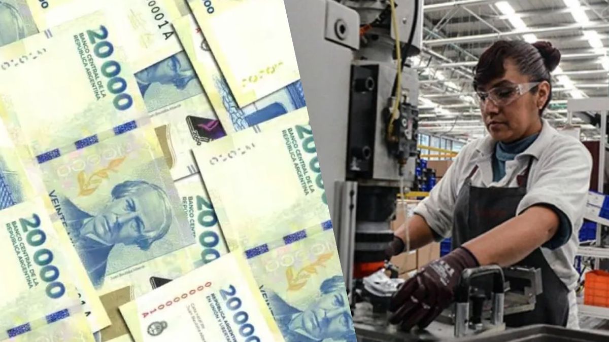 ANSES oficializó los requisitos y topes de ingresos para cobrar la ayuda económica a trabajadores