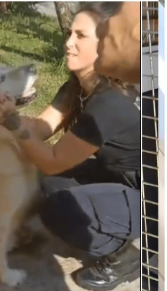 Una mujer quiso faenar a su perro en La Plata: Tiene buen cuero y carne