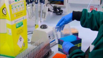 Hallan un anticuerpo clave en la lucha contra el coronavirus en cualquiera de sus variaciones