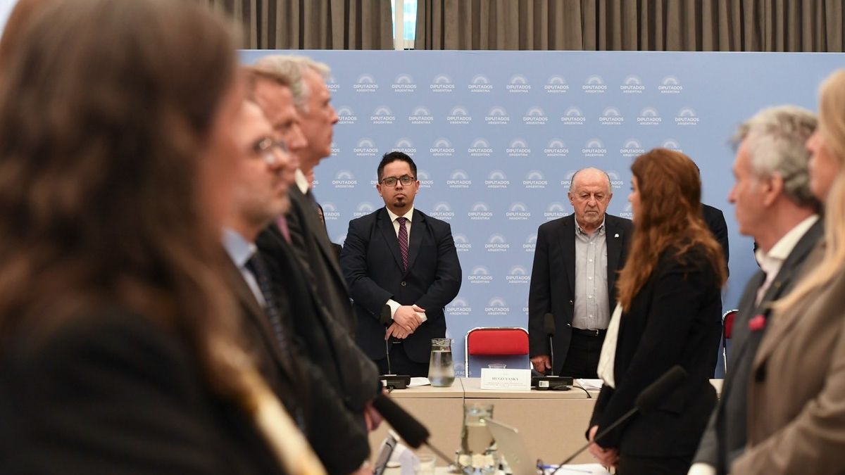 (Foto: @DiputadosAR)